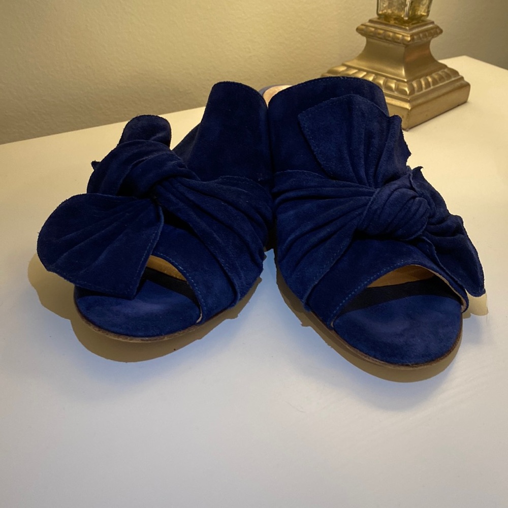 Ann Mashburn Blue Bow Shoes 38